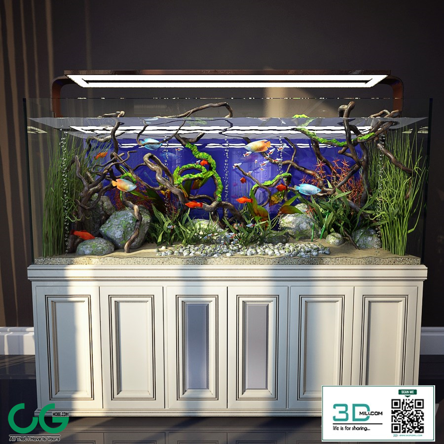 Aquarium 3